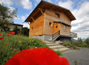 CH719 - Chalet 10 Pers aux Carroz